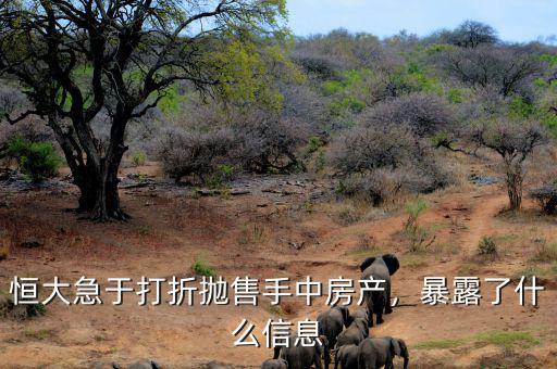 官員為什么拋售房產,地產大鱷瘋狂拋售房產