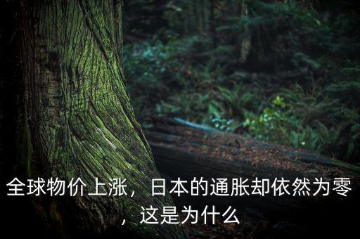 日本為什么沒(méi)有通脹,日本卻在想辦法發(fā)生通脹