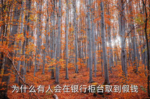 在銀行柜臺取到假錢怎么辦,如果在農業銀行柜臺取到假錢