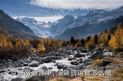 互聯網運營中，B端的運營怎么做