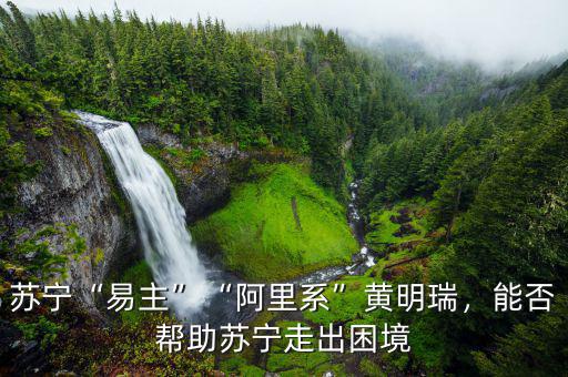 蘇寧困境是什么,他能帶領蘇寧走出困境嗎