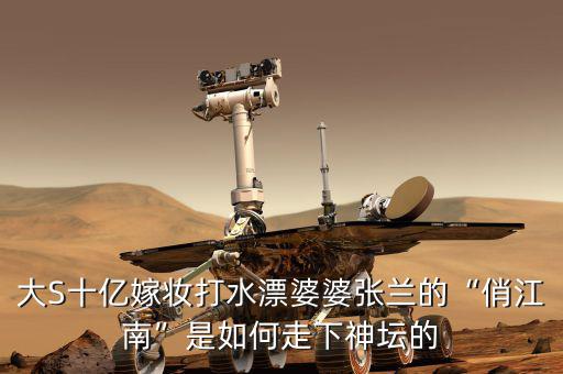 俏江南張蘭資產多少億,俏江南張蘭現在破產了嗎