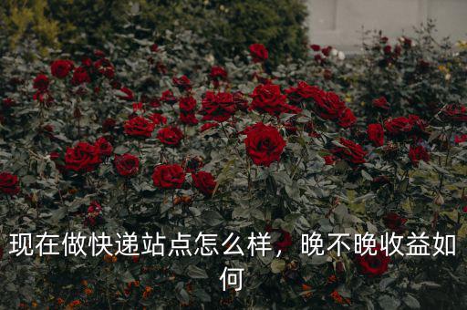 現在做快遞站點怎么樣，晚不晚收益如何