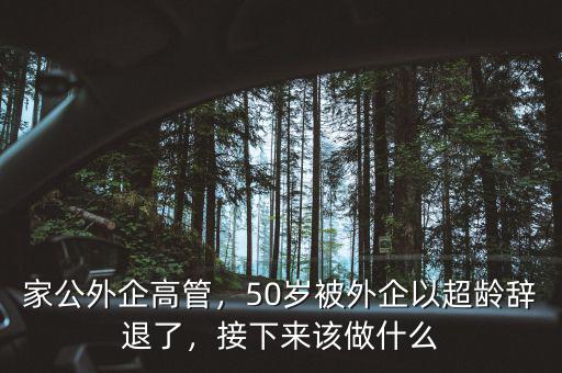 家公外企高管，50歲被外企以超齡辭退了，接下來該做什么