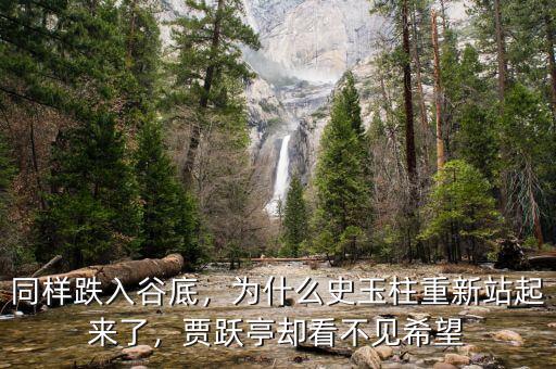 同樣跌入谷底，為什么史玉柱重新站起來了，賈躍亭卻看不見希望