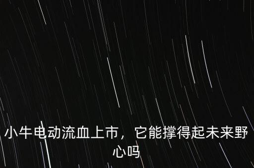 小牛電動流血上市，它能撐得起未來野心嗎