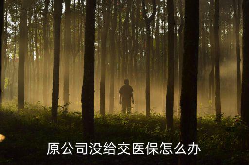單位不給交醫保怎么辦,單位拒絕給繳納醫保怎么辦