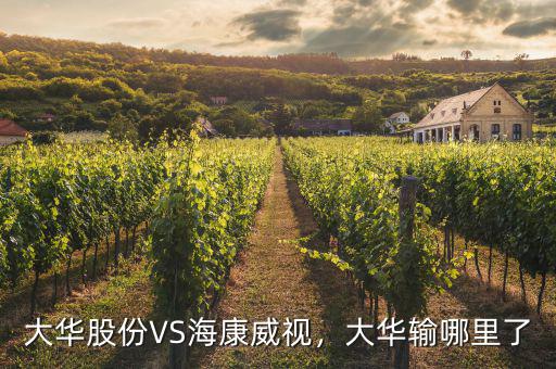 ?？低曉趺闯钟泄煞?寧德時(shí)代和?？低?/></a></span><span id=