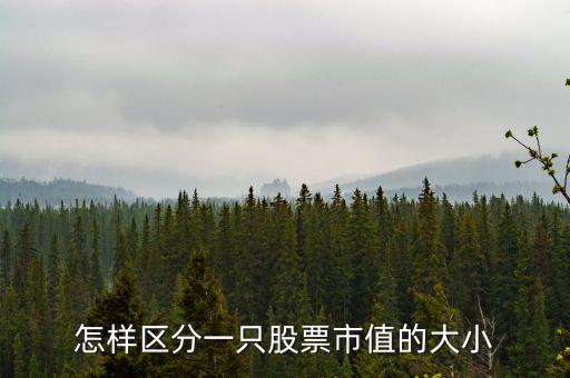怎樣區分一只股票市值的大小
