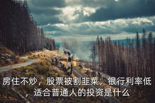 房住不炒，股票被割韭菜，銀行利率低，適合普通人的投資是什么