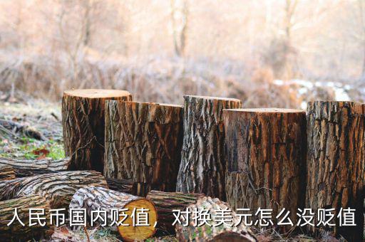 人民幣國內貶值，對換美元怎么沒貶值