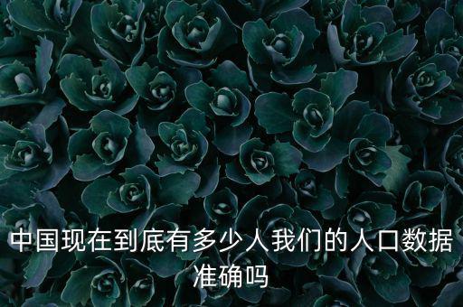 中國現在到底有多少人我們的人口數據準確嗎