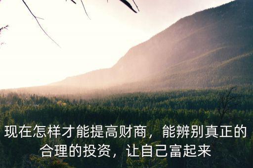 現在怎樣才能提高財商，能辨別真正的合理的投資，讓自己富起來