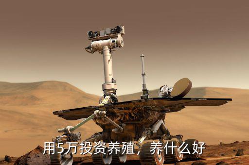 用5萬(wàn)投資養(yǎng)殖，養(yǎng)什么好