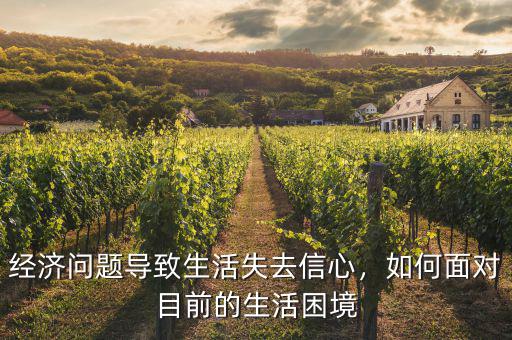 經濟問題導致生活失去信心，如何面對目前的生活困境