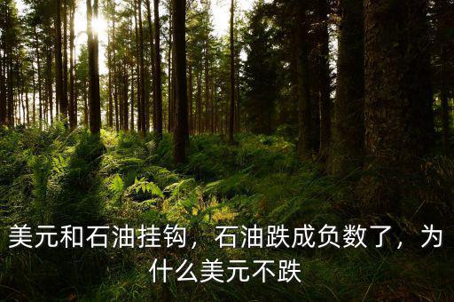 美元和石油掛鉤，石油跌成負數了，為什么美元不跌