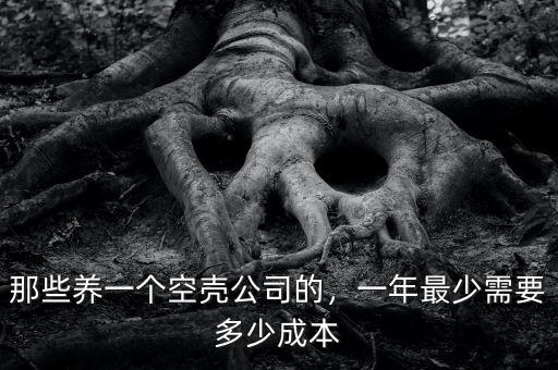 一年左右的空殼公司能賣多少,那些養一個空殼公司的