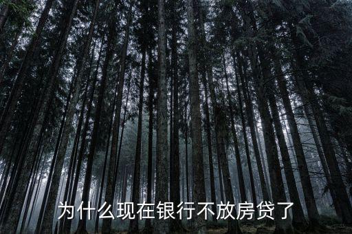 為什么現在銀行不放房貸了