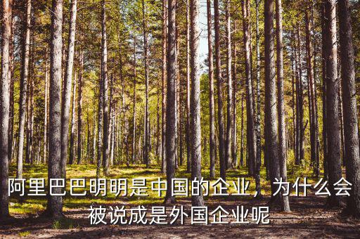 國家為什么不動阿里巴巴,阿里巴巴明明是中國的企業