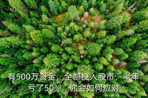 有500萬資金，全部投入股市，半年虧了50%，你會如何應對