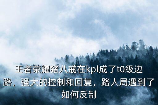 王者榮耀豬八戒在kpl成了t0級邊路，強大的控制和回復，路人局遇到了如何反制