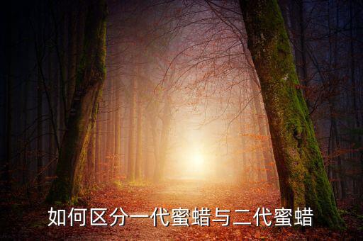 蜜蠟怎么區分,如何鑒別天然蜜蠟