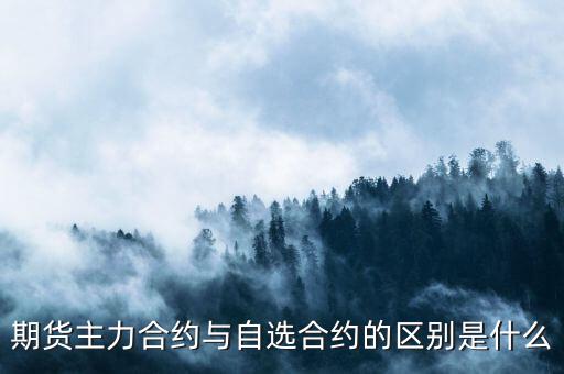 期貨主力合約與自選合約的區別是什么