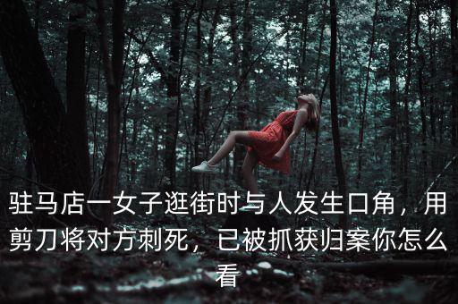 駐馬店一女子逛街時(shí)與人發(fā)生口角，用剪刀將對(duì)方刺死，已被抓獲歸案你怎么看