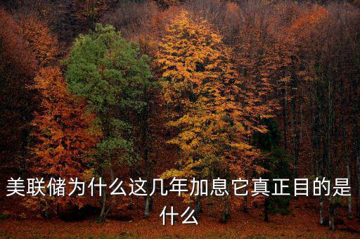 美聯儲什么時候決定利息,美聯儲決定維持利率不變