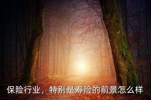 保險行業，特別是壽險的前景怎么樣