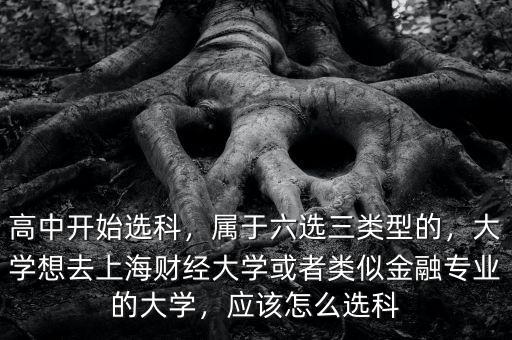 高中開始選科，屬于六選三類型的，大學(xué)想去上海財(cái)經(jīng)大學(xué)或者類似金融專業(yè)的大學(xué)，應(yīng)該怎么選科