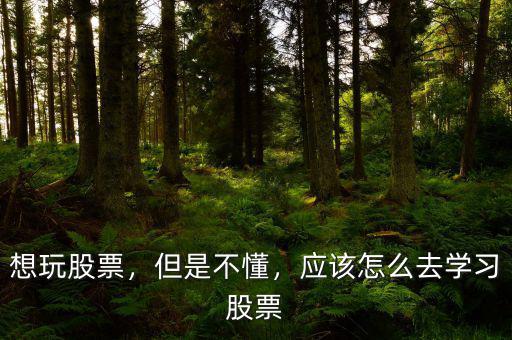 想玩股票，但是不懂，應(yīng)該怎么去學(xué)習(xí)股票