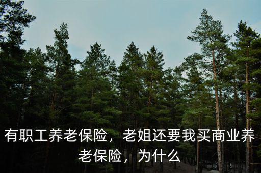 有職工養老保險，老姐還要我買商業養老保險，為什么