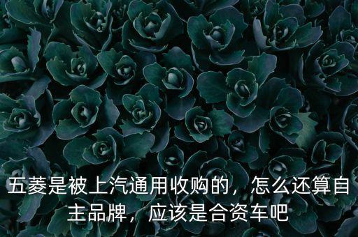 五菱是被上汽通用收購(gòu)的，怎么還算自主品牌，應(yīng)該是合資車(chē)吧