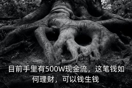 目前手里有500W現金流，這筆錢如何理財，可以錢生錢