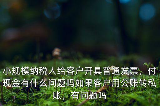 小規模納稅人給客戶開具普通發票，付現金有什么問題嗎如果客戶用公賬轉私賬，有問題嗎