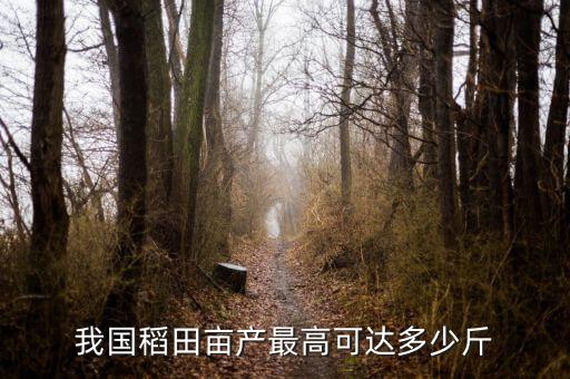 廣東水稻畝產多少斤,我國稻田畝產最高可達多少斤