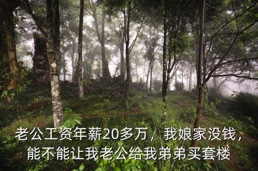 老公工資年薪20多萬，我娘家沒錢，能不能讓我老公給我弟弟買套樓
