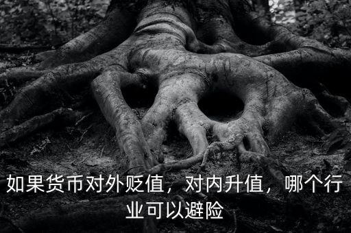 如果貨幣對外貶值，對內升值，哪個行業可以避險