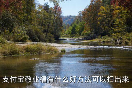 支付寶敬業富是什么,為什么越敬業