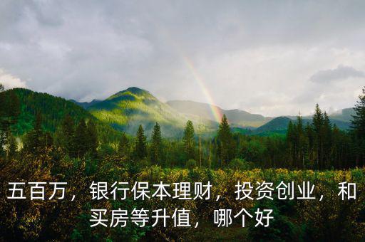 五百萬(wàn)，銀行保本理財(cái)，投資創(chuàng)業(yè)，和買(mǎi)房等升值，哪個(gè)好