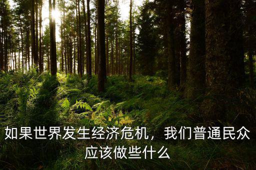 如果經濟危機來了我們怎么辦,如果世界發生經濟危機
