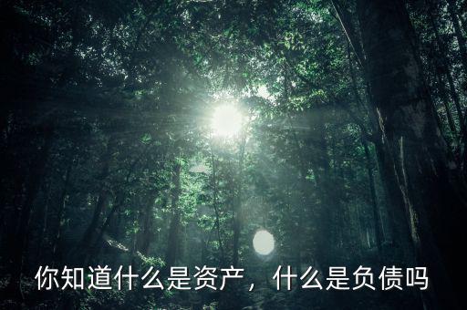 你知道什么是資產(chǎn)，什么是負(fù)債嗎