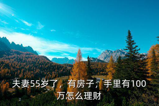 夫妻55歲了，有房子，手里有100萬怎么理財