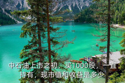 中石油上市之初，買1000股，一直持有，現市值和收益是多少