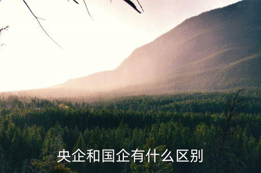 央企和國企有什么區別