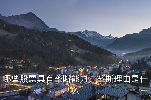 哪些股票具有壟斷能力，壟斷理由是什么