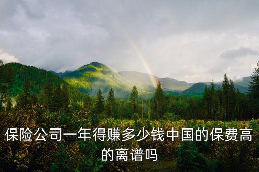 保險業務一年能掙多少錢,保險公司一年得賺多少錢