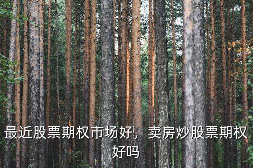 最近股票期權市場好，賣房炒股票期權好嗎