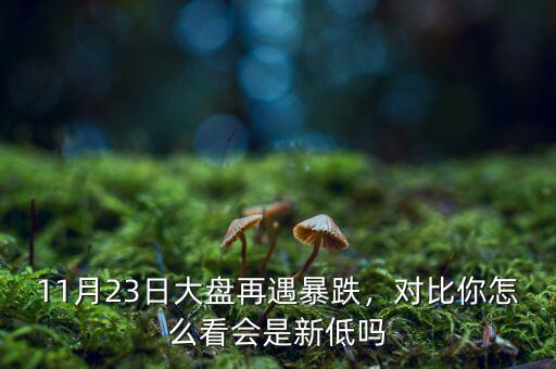 11月23日大盤再遇暴跌，對(duì)比你怎么看會(huì)是新低嗎